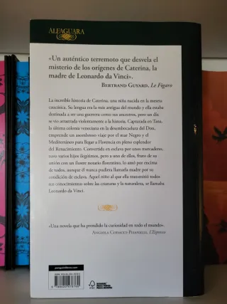 Caterina (Spanish Edition)