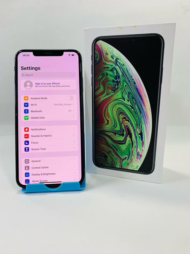 iPhone XS 256GB