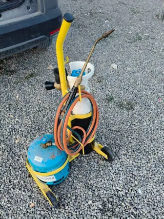 Autogena