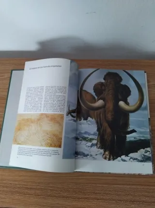 Enigmas de la Naturaleza