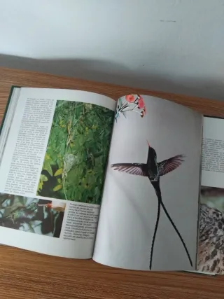 Enigmas de la Naturaleza