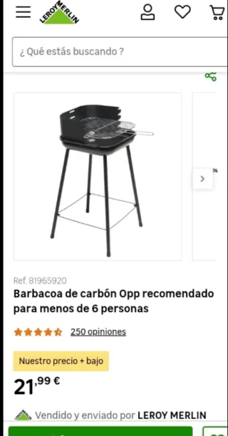 Barbecue a carbone Opp
