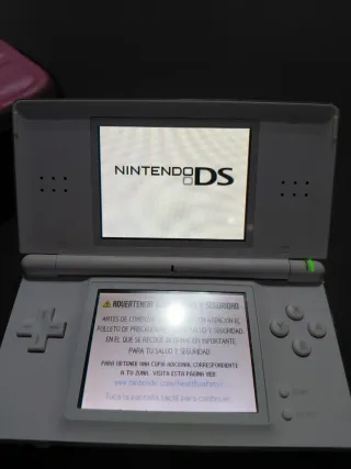 Nintendo DS Lite Gris/Rosa + Accesorios