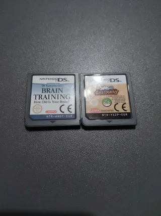 Nintendo DS Lite Gris/Rosa + Accesorios