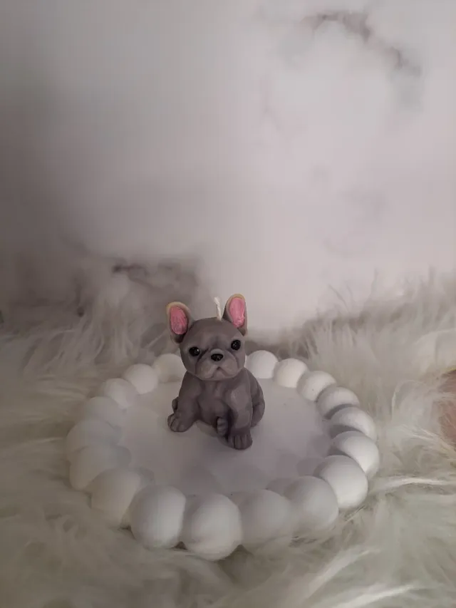 Candela Bulldog Francese