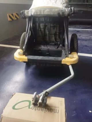 Remolque Carrito Niños Bici