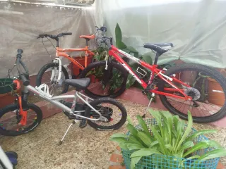 Bicicletas infantiles y de adulto