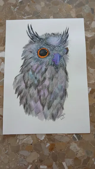 Wisely ... aquarelle paintings 