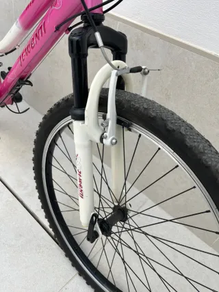 Bicicleta rosa JL WENTI 24" MTB 600