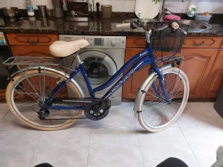 Bicicleta azul con cesta y portabultos