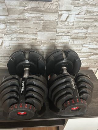 Pareja mancuernas ajustables (80KG)