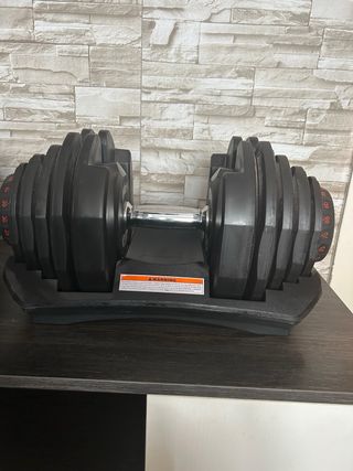 Pareja mancuernas ajustables (80KG)