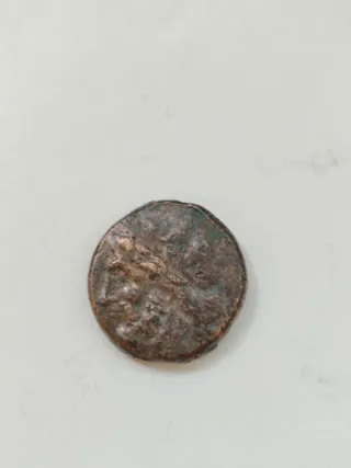 1 Litra Hieron II Siracusa 275-215 AC
