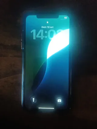 iPhone 11 Pro Max Verde notte