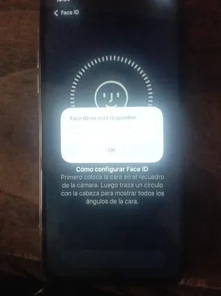 iPhone 11 Pro Max Verde notte