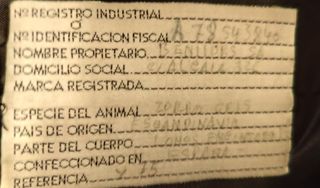 Chaquetón Zorro Gris Poco Uso