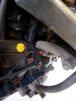 MOTOR COMPLETO AUDI A4 B7 (8EC) (2)