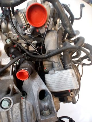 MOTOR COMPLETO AUDI A4 B7 (8EC) (2)