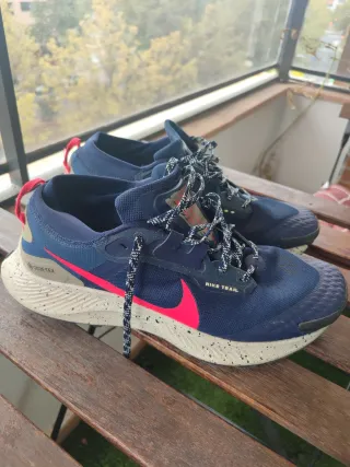 Zapatillas Nike Pegasus Trail GORETEX Azul/Rosa