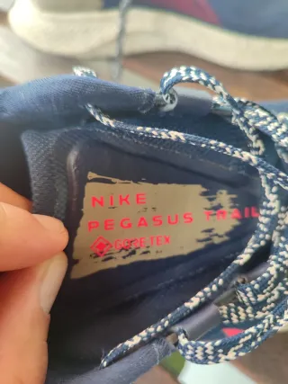 Zapatillas Nike Pegasus Trail GORETEX Azul/Rosa