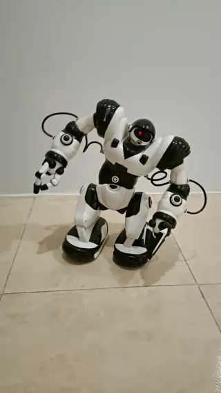 Robot Robosapien
