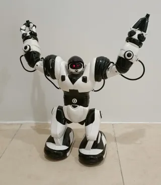 Robot Robosapien