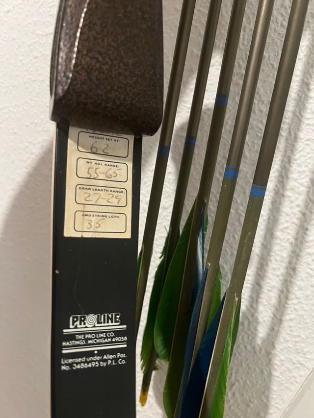 Arco compuesto con carcaj y flechas