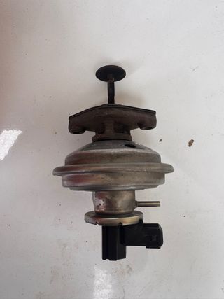 Válvula EGR Mini R56