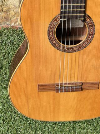 Guitarra Clásica Ortega R-210 Traditional Series