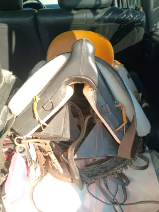 Montura para poni