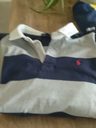 2 polos Ralph Lauren Rayas Azul/Gris