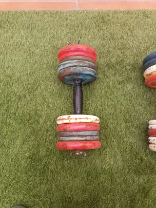 2 mancuernas de  10 kg  cada una