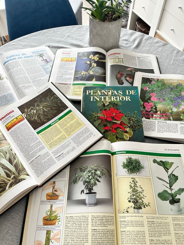 Enciclopedia Plantas