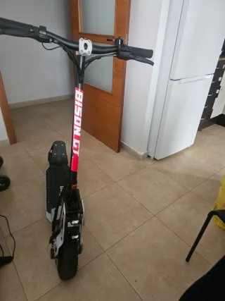 Patinete Ecoextrem BISON GT