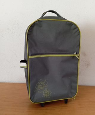 Maleta de cabina gris y verde