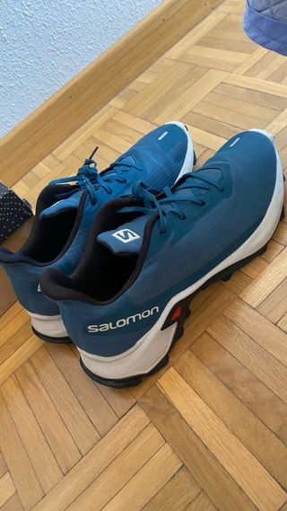 Salomon Alphacross 3 talla 44