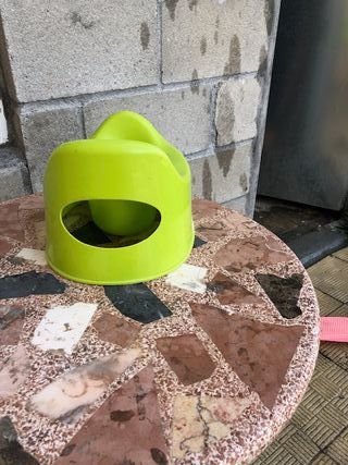 Orinal infantil verde