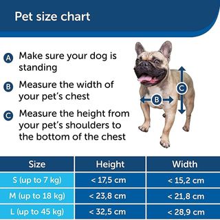 ✨ - PetSafe Staywell - Porta per animali domestici 2 v