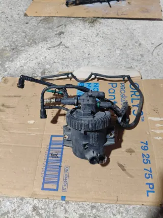 Caja Filtro Combustible Peugeot 2.0 HDI 110cv