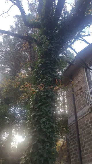 Villa per weekend benessere