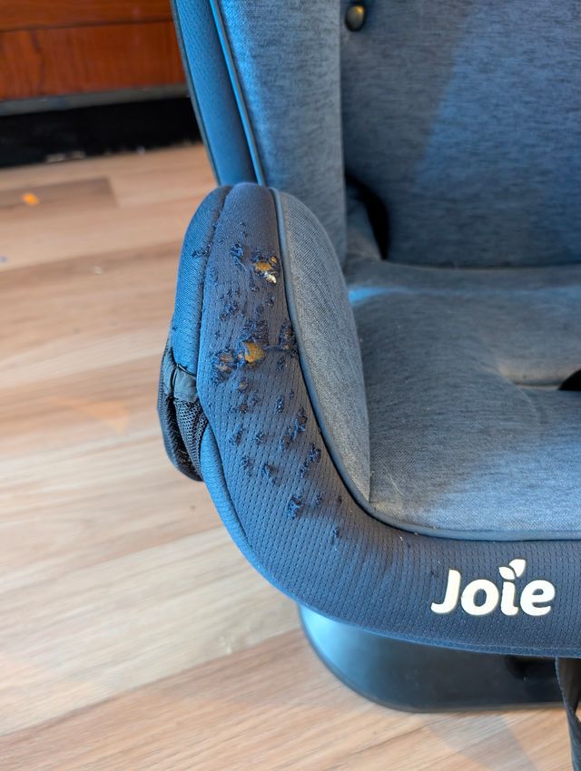 OFERTA Silla Joie Every Stage C1602 Grupo 0-36kg