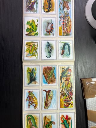 Álbum de cromos Vida y Color
