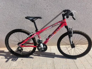 Bicicleta Roja BIOCYCLE XRT
