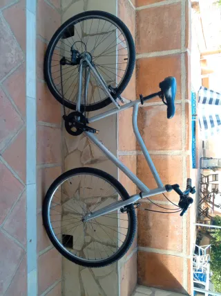 Bicicleta plateada