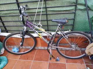 Bicicleta Cadete Morada y Plateada
