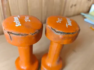 Mancuernas Softee 2 kg (par)