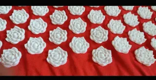 Esterilla acupresión roja