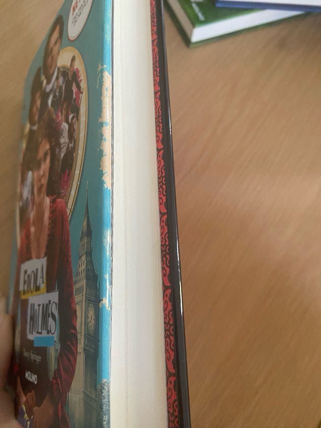 Enola Holmes 1 - El caso del marqués desapareci...