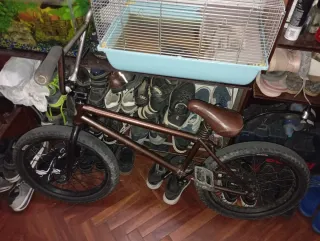BMX FlyBikes Savanna