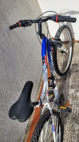 Bicicleta de Montaña 26